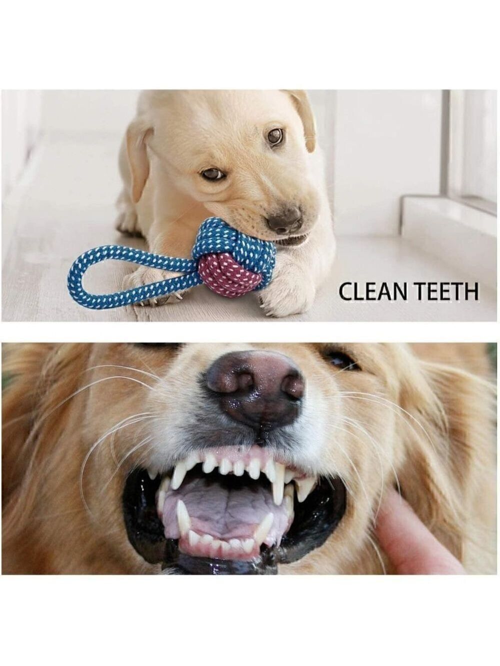 Toozey Puppy Toys for Small Dogs, 7 Pack Small Dog Squeaky, Chew, Rope Toys - Picture 6 of 9